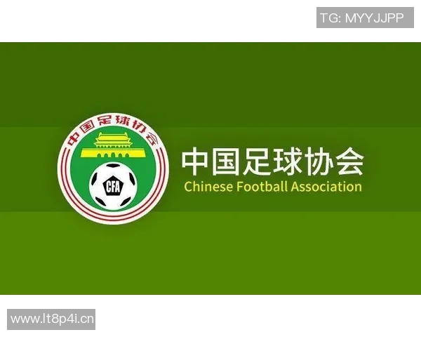 以中国足协为核心推动足球改革与发展路径探析 以中国足协为核心推动足球改革与发展路径探析